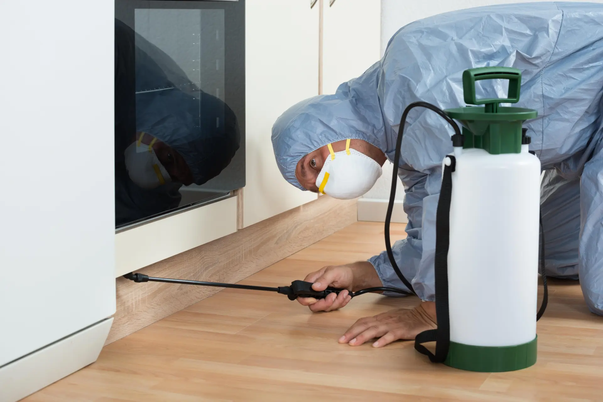 Insect Exterminator Bury